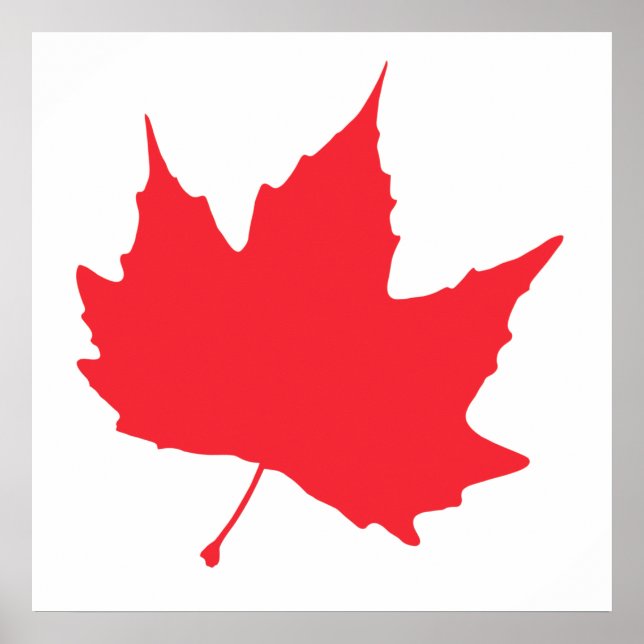 Affiche Maple autumn (Devant)