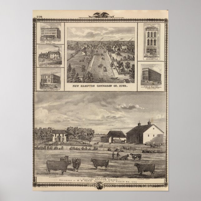 Affiche Maple Grove Herd, Cedar Co New Hampton (Devant)