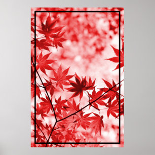 Affiche Maple Trees Design Feuille