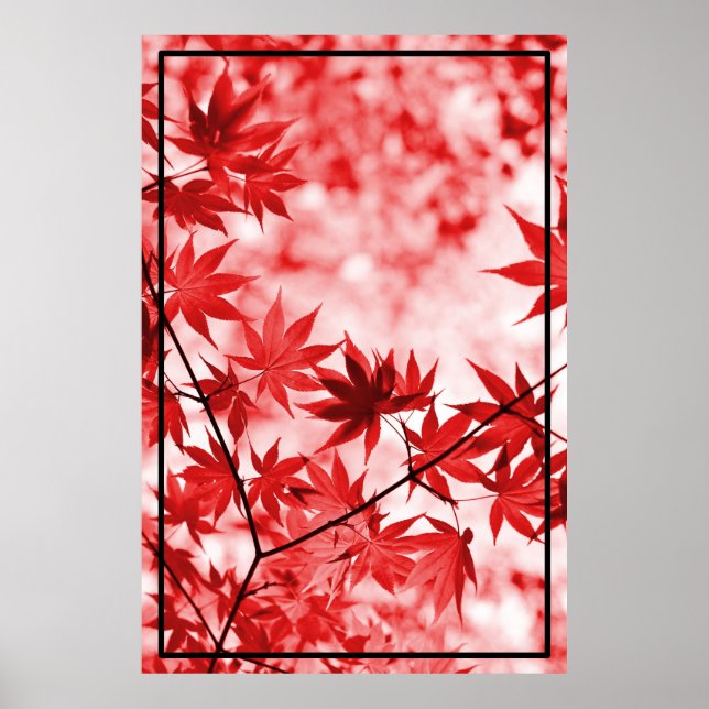 Affiche Maple Trees Design Feuille (Devant)