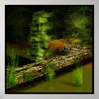 Affiche marais ancien