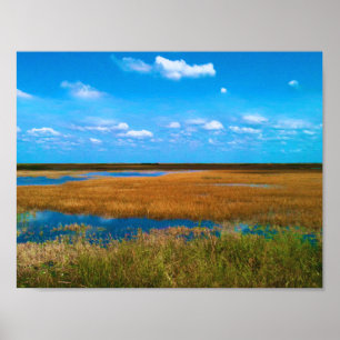 Affiche Marais de Floride, Herbe des marais, Ciel et refle