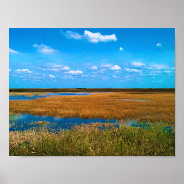 Affiche Marais de Floride, Herbe des marais, Ciel et refle (Devant)