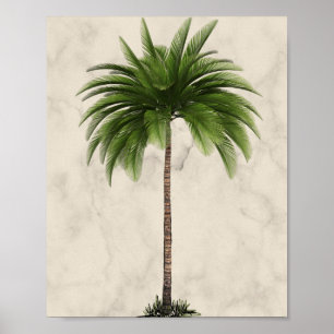 Affiche Marbre de Champagne Tropical Elegant Palm Tree