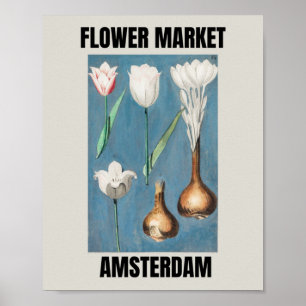 Affiche Marché aux Fleurs Amsterdam Tulipe Vintage  