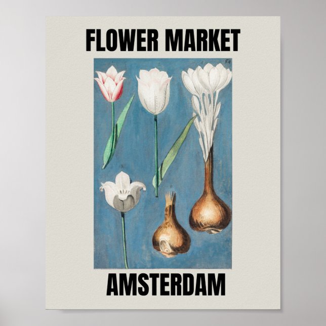Affiche Marché aux Fleurs Amsterdam Tulipe Vintage   (Devant)