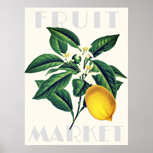 Affiche Marché aux fruits rétro moderne Fleur de citron (Devant)