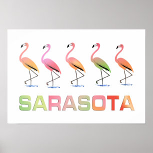 Affiche Marche Flamants roses Sarasota