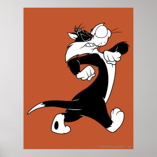 Affiche Marche SYLVESTER™