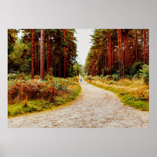 Affiche Marcher dans la forêt dans la nature