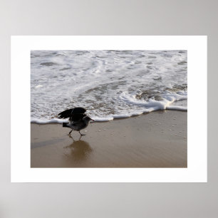 Affiche Marcher près des Waves California Color Photograph