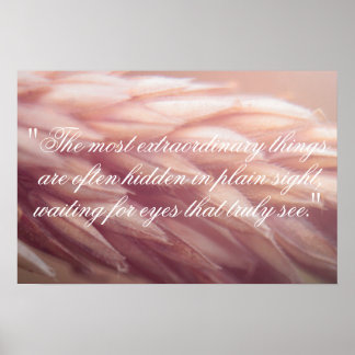 Affiche Marco Graine Blé Imprimer