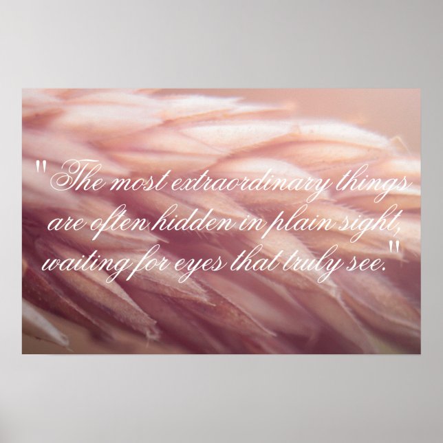 Affiche Marco Graine Blé Imprimer (Devant)