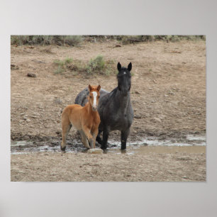 Affiche Mare de Steens et poulain