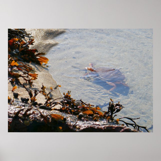 Affiche Mare résiduelle à Sand Beach (Devant)