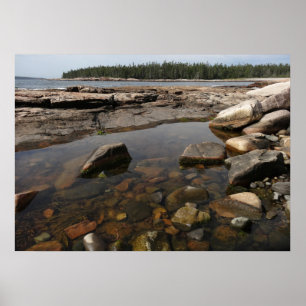 Affiche Mare résiduelle à Wonderland dans le parc national