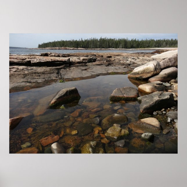 Affiche Mare résiduelle à Wonderland dans le parc national (Devant)