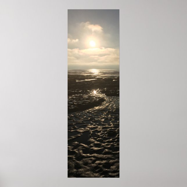 Affiche Marée basse à La Jolla (Devant)