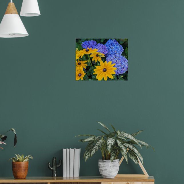 Affiche Marguerite à œil noir et Hydrangea Bleu Floral (Salon 1)