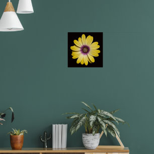Affiche Marguerite africaine jaune sur fond floral noir