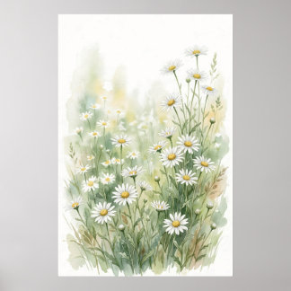 Affiche Marguerite blanche aquarelle de fleur sauvage