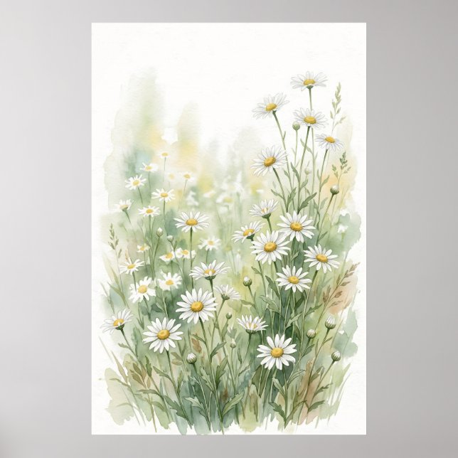 Affiche Marguerite blanche aquarelle de fleur sauvage (Devant)