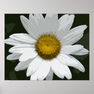 Affiche Marguerite blanche simple