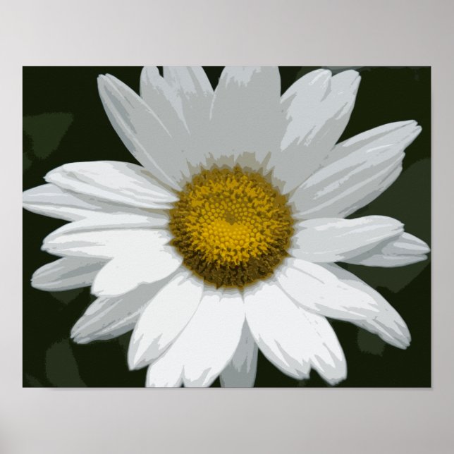 Affiche Marguerite blanche simple (Devant)