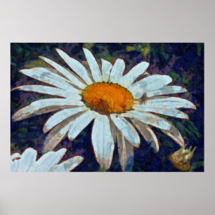 Affiche Marguerite Daisy avec Insectes ailées Art Floral