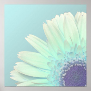 Affiche Marguerite de Gerbera