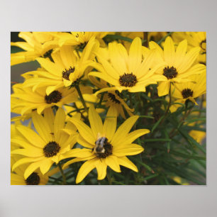 Affiche Marguerite Jaune Et Abeille Bumble