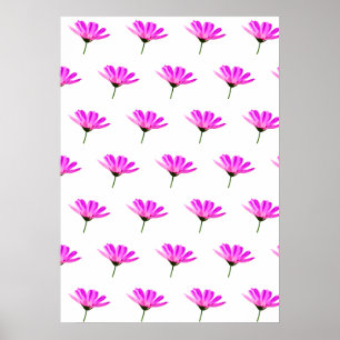 Affiche Marguerite rose