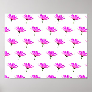 Affiche Marguerite rose