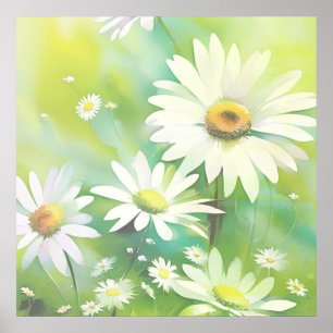 Affiche Marguerites blanches