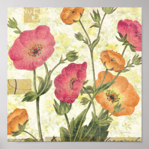Affiche Marguerites colorées