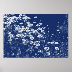 Affiche Marguerites - Effet Cyanotype