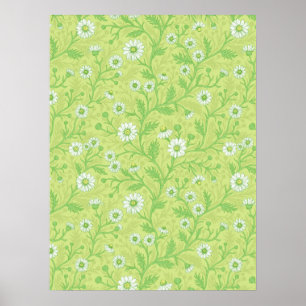 Affiche Marguerites en blanc et vert sur fond vert miel