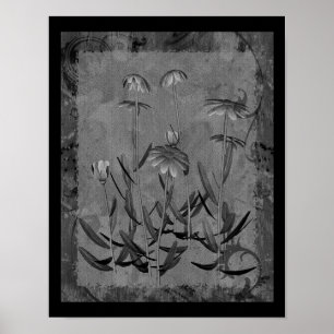 Affiche Marguerites encadrées Noir Et Blanc Art Floral