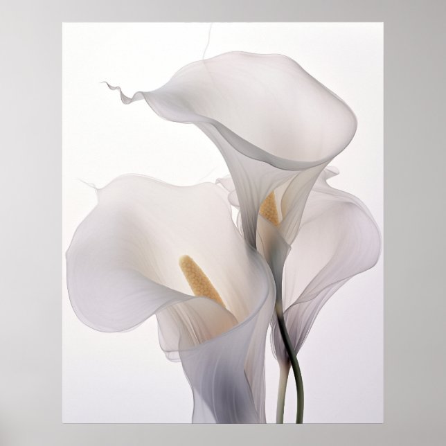 Affiche Mariage blanche Calla Lily Arrière - plan blanche (Devant)