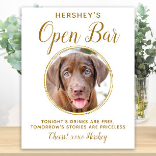 Affiche Mariage de chien Bar à boissons ouvert Photo de ch