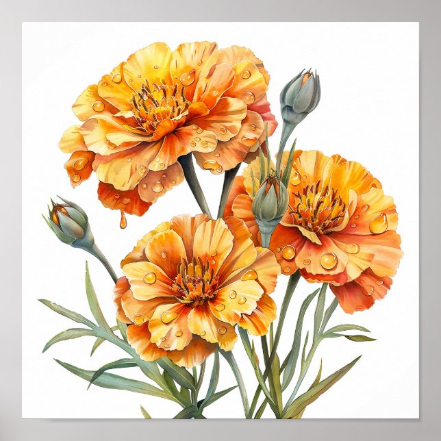 Affiche Marigold Print, Orange Flowers Wall Art (Devant)