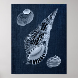 Affiche Marine Blue Beach Décor Mur Décor Coquillage Impri