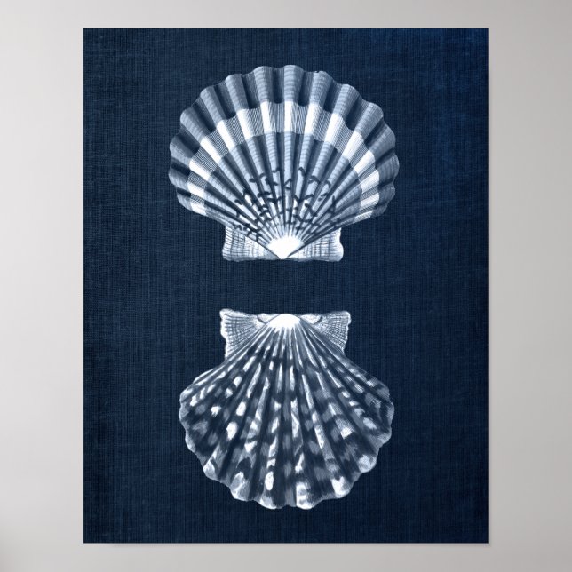 Affiche Marine Blue Seashell Imprimer no 9 Décor de mur de (Devant)