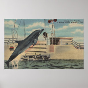 Affiche Marineland, la Floride - vue de dodu