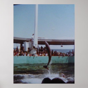 AFFICHE MARINELAND VINTAGE