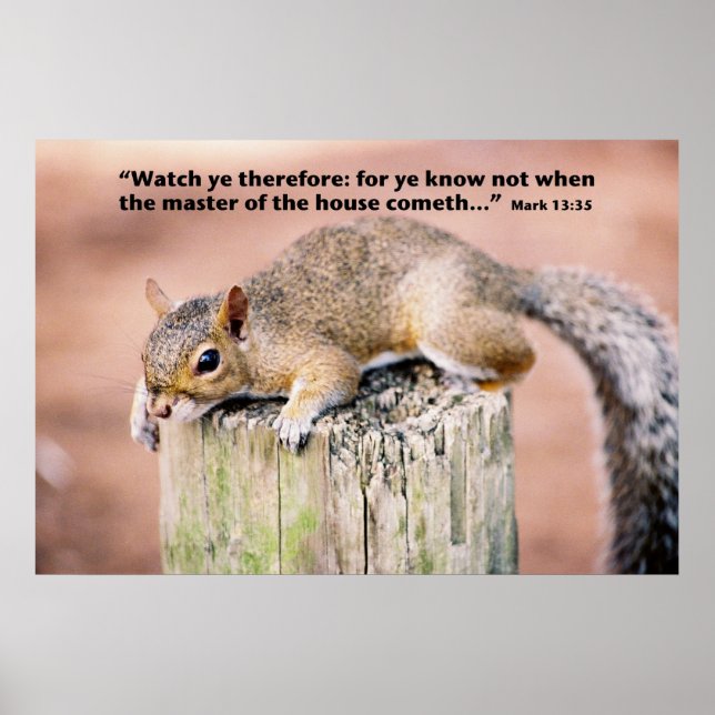 Affiche Mark 13 (Devant)