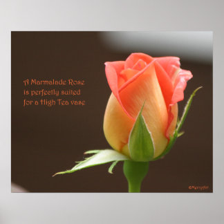 Affiche Marmalade Rose Poster: ROSE & PROSE 20x16