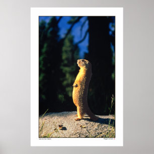 Affiche Marmot Sun Salute