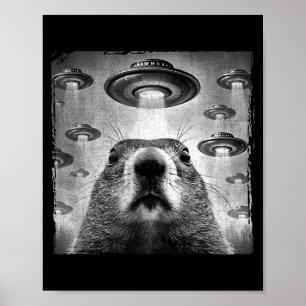 Affiche Marmotte drôle selfie avec alien Ufos Marmotte D