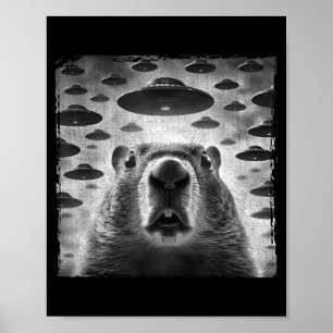 Affiche Marmotte drôle selfie avec des ovnis extraterrestr